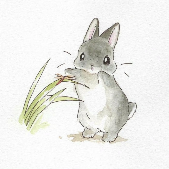 Ảnh tho chibi đường nét mềm mại