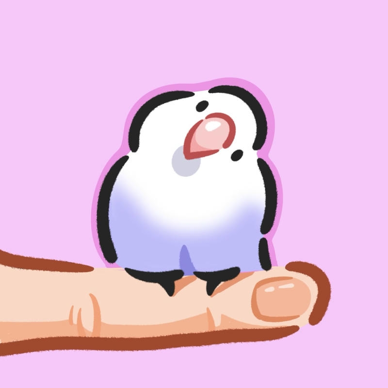 Bức ảnh chim chibi nhin nhẹ nhàng