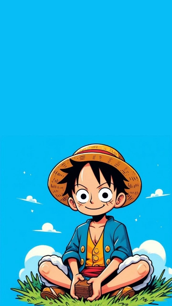 anh anime luffy 16
