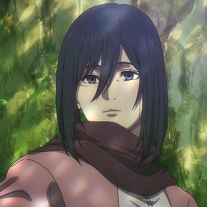 anh mikasa ackerman 28