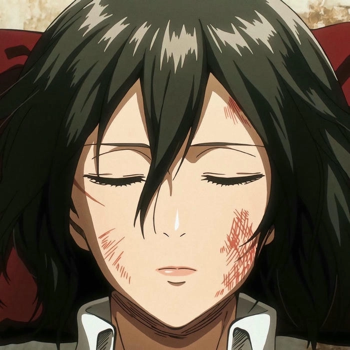 anh mikasa ackerman 29