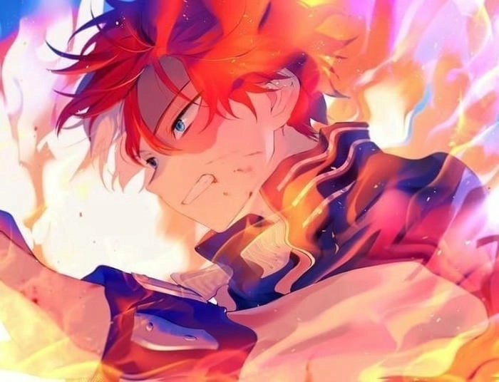 anh shoto todoroki 10