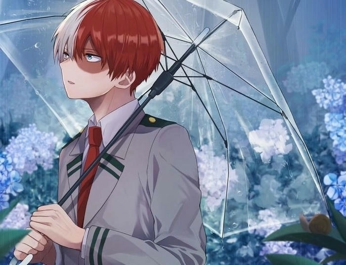 anh shoto todoroki 7