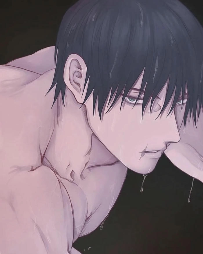 anh toji fushiguro 12