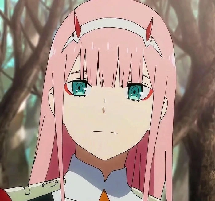 anh zero two 4